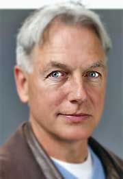 Mark Harmon 