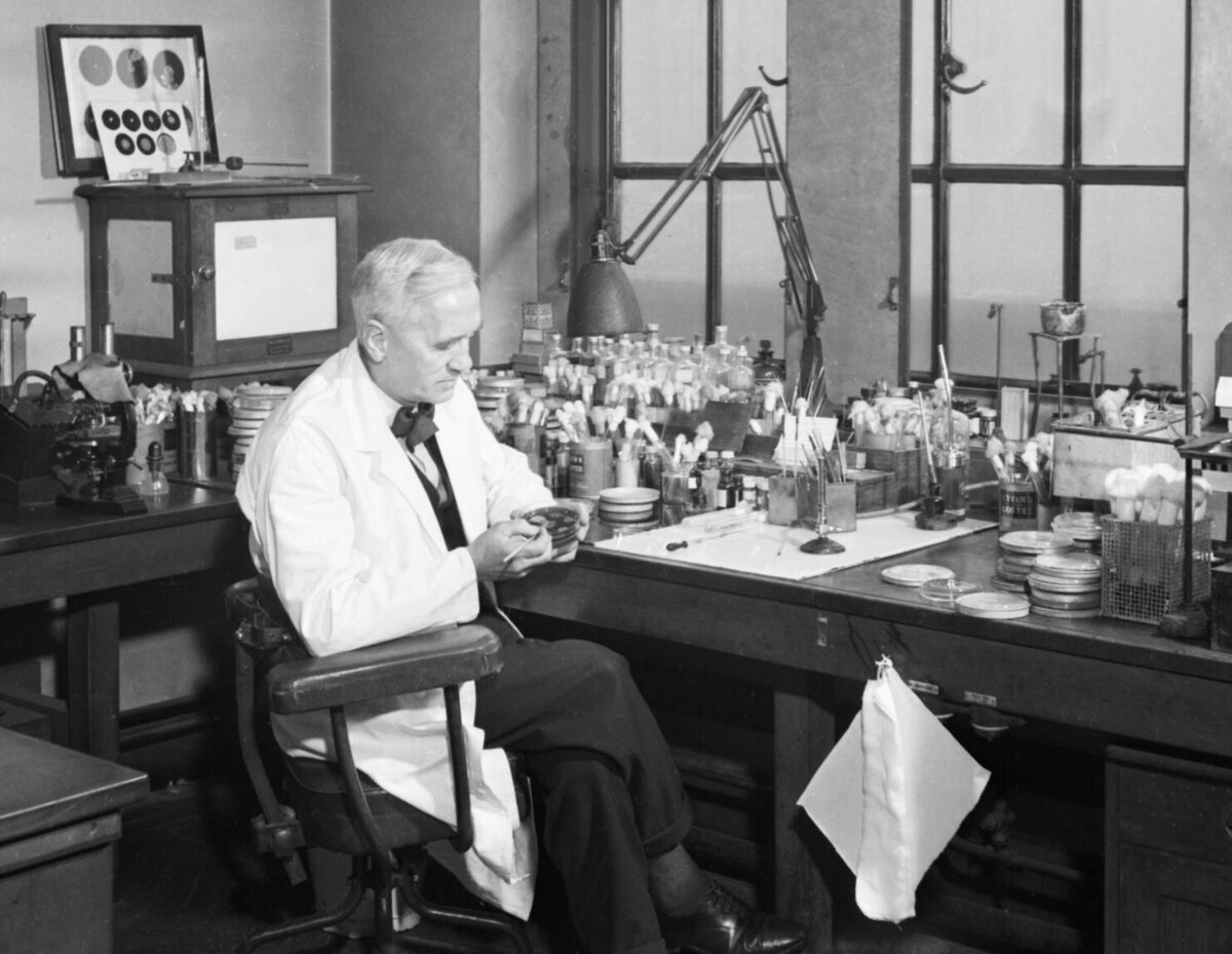Alexander Fleming trabajando en su laboratorio de St Mary’s Hospital, Londres.